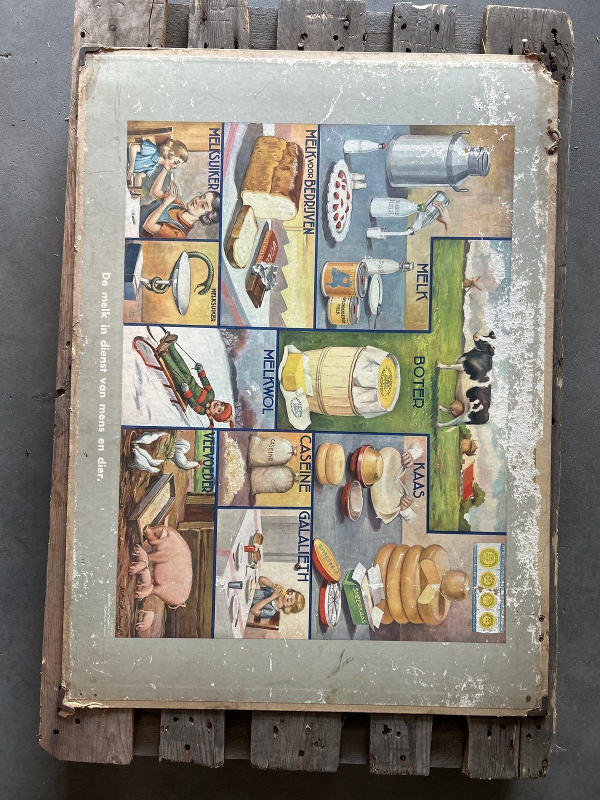 Vintage educatieve poster: Melk in dienst van mens en dier, Antiek en Kunst, Antiek | Schoolplaten, Ophalen, Overige thema's