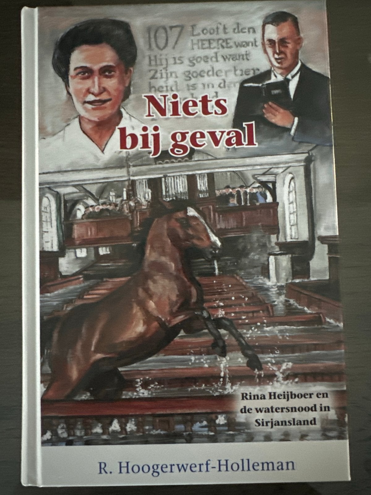 Niet bij geval - Rina Heijboer en de watersnood in Sirjansla, Ophalen of Verzenden, Zo goed als nieuw, Nederland