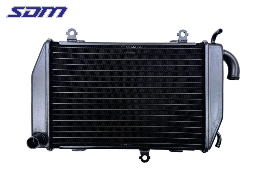 Radiateur Honda GL 1800 (1970-01/..) 19060MCAA61, Honda, Gebruikt, Hanauer Landstraße  222-224, Frankfurt am Main 60314, , Duitsland