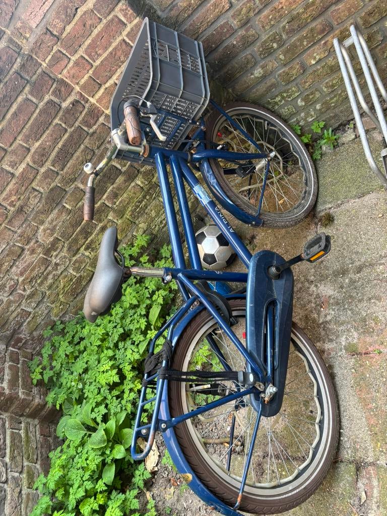 Blauwe Alpina jongensfiets, Ophalen, Gebruikt, 20 inch