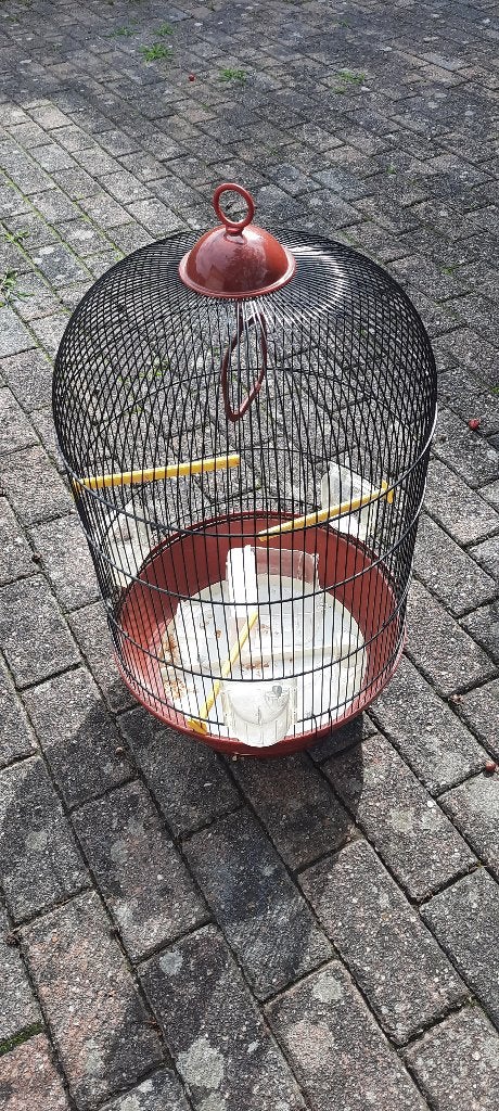 Vogel kooi, Verzenden, Metaal, Vogelkooi