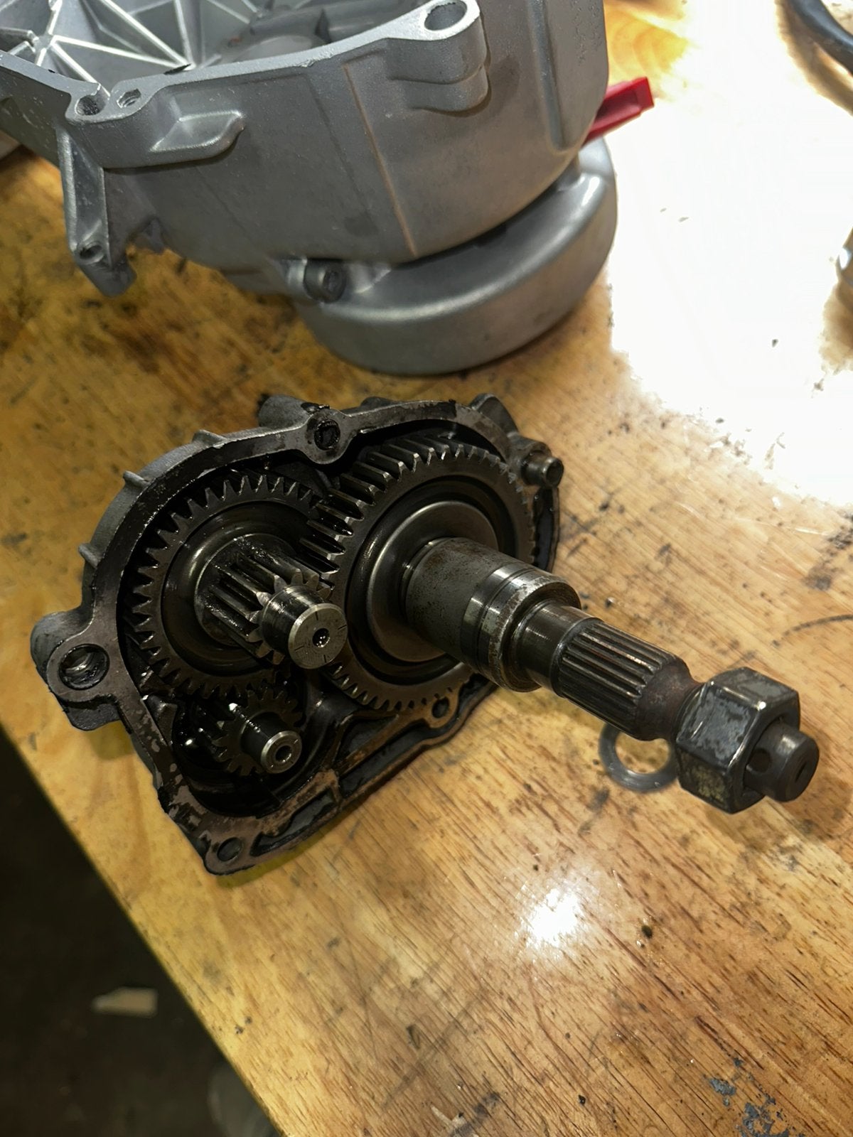 Malossi vertanding piaggio 2t, Ophalen of Verzenden, Nieuw