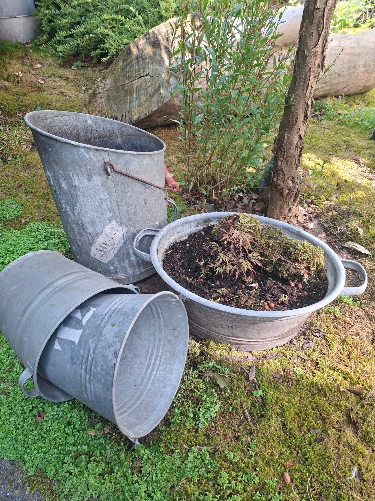 Zinken teil, kolenkit en emmers, Tuin en Terras, Bloembakken en Plantenbakken, Ophalen, Rond, Hout, Minder dan 30 cm
