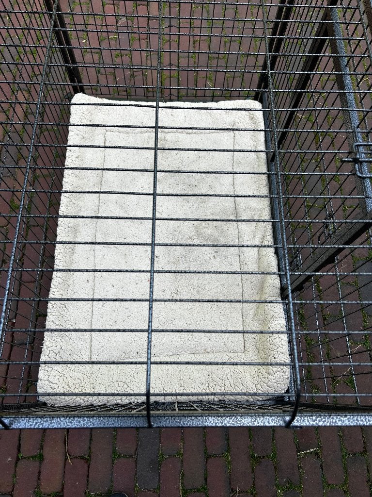 MaxxPet Hondenbench XL, Ophalen, Zo goed als nieuw