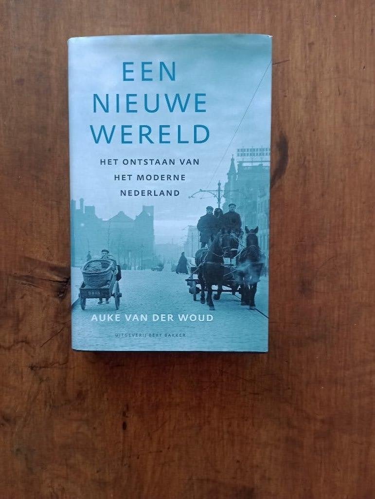 Het ontstaan van het moderne Nederland  Auke van der Woud, 19e eeuw, Ophalen of Verzenden, Zo goed als nieuw, Auke van der Woud