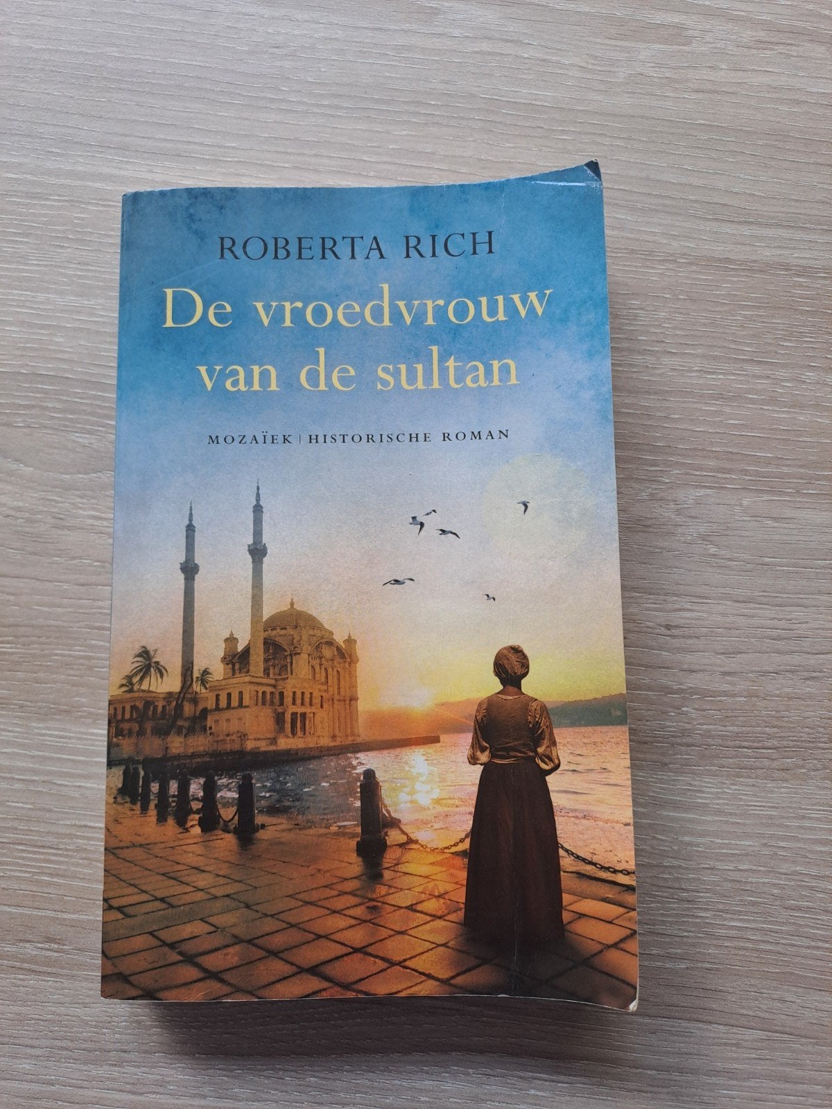 Boek Roberta Rich De vroedvrouw van de sultan, Ophalen of Verzenden, Zo goed als nieuw, Roberta Rich