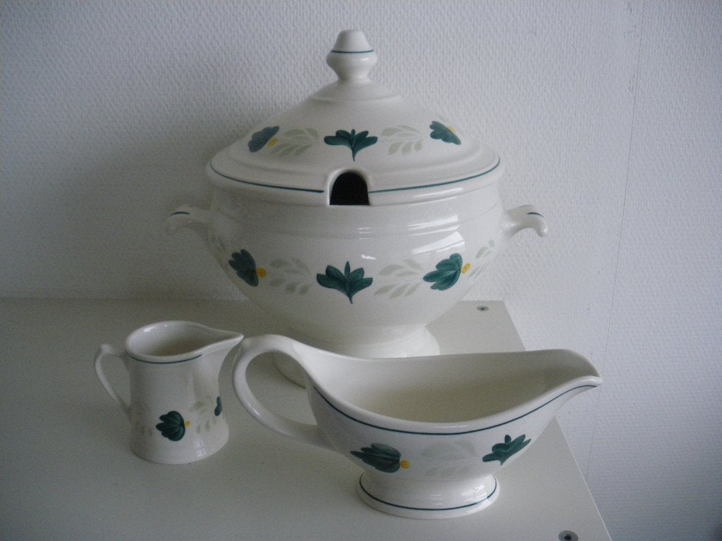 Royal Boch Aquarelle servies, Ophalen of Verzenden, Zo goed als nieuw, Bord(en), Royal Boch