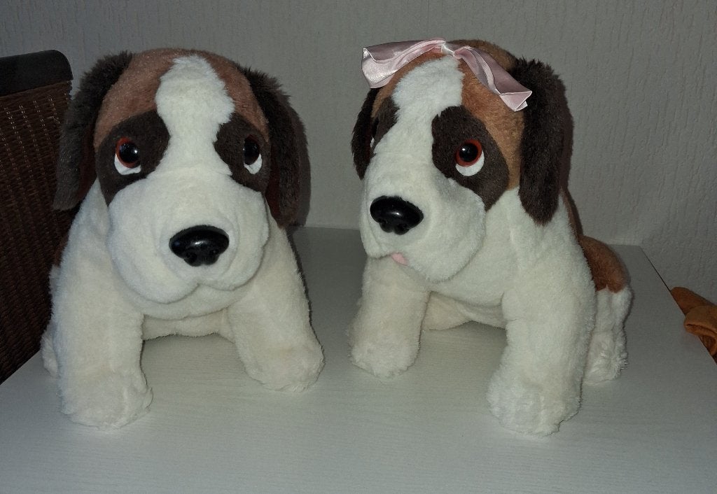 Beethoven film knuffel honden sint bernard, Overige merken, Overige karakters, Middelgroot (20 tot 80 cm), Meerkleurig