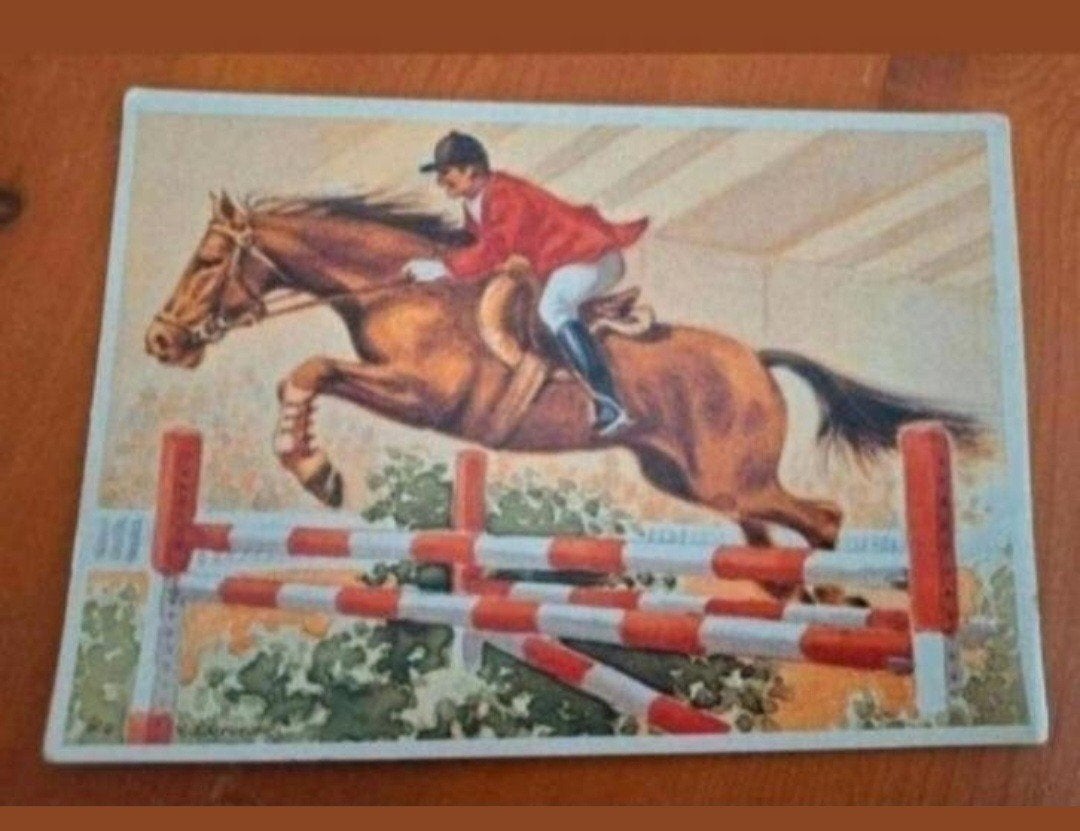 Oude ansichtkaart: Ruiter te paard springt over hindernis, Ophalen of Verzenden