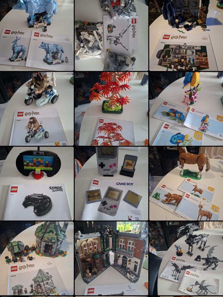 Grote partij LEGO sets (Harry Potter, Sonic, Jurassic World), Ophalen, Zo goed als nieuw, Meerdere plaatjes