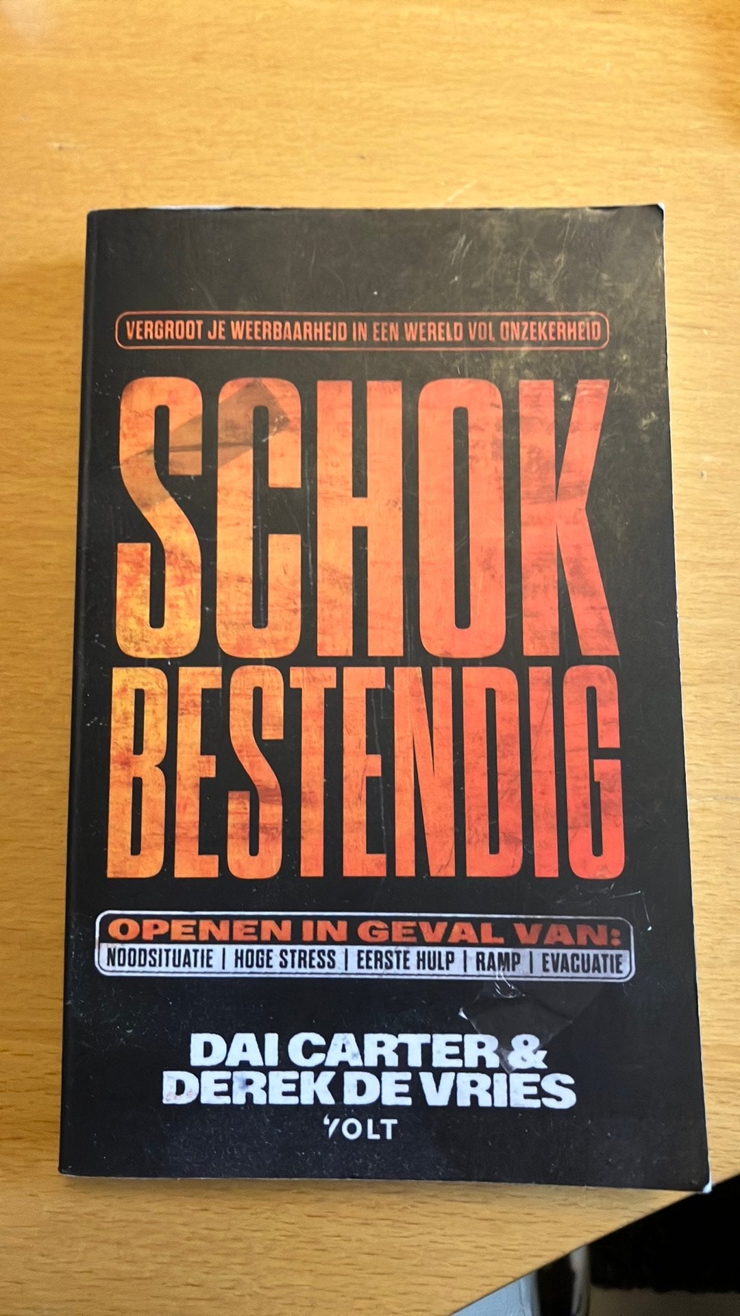 Schokbestendig (Gesigneerd), Ophalen of Verzenden, Gelezen