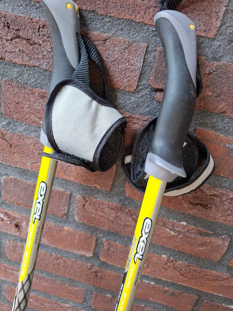 Nordic walking stokken, Ophalen, Zo goed als nieuw, Wandelstok