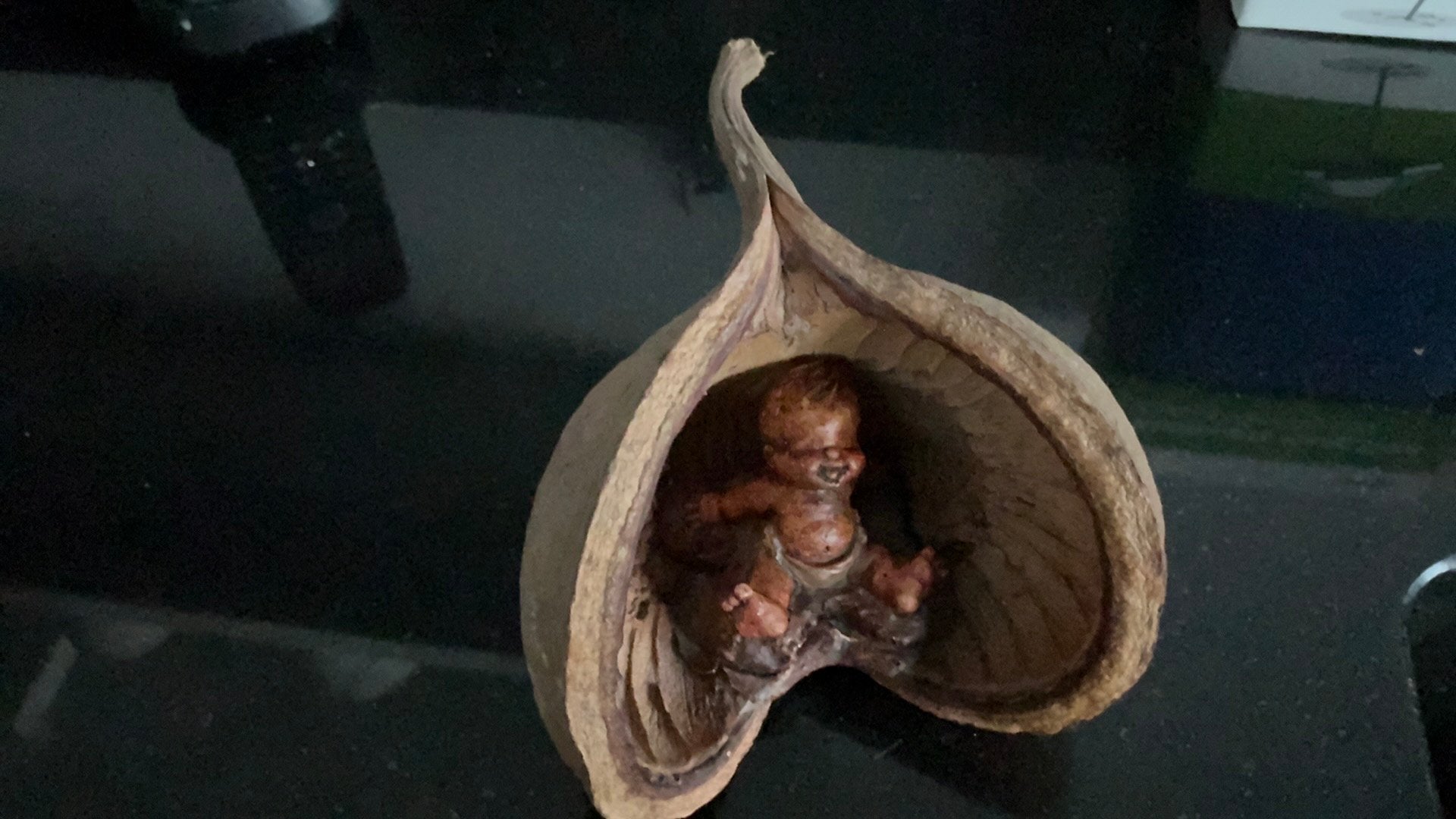 Boeddha noot waarin  klein beeldje of model van een foetus, Ophalen of Verzenden, Zo goed als nieuw