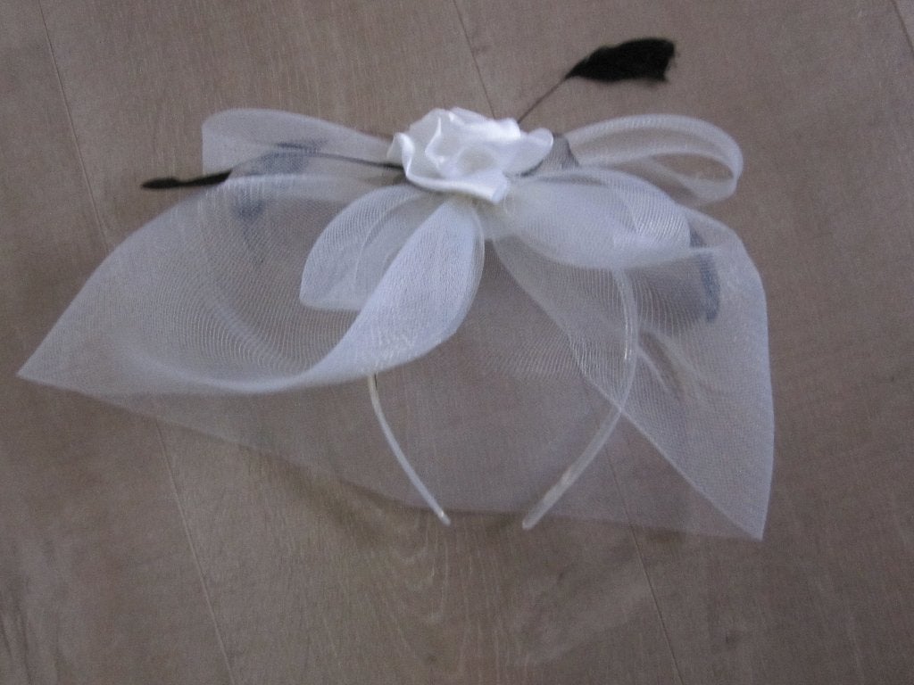 Haar accessoire diadeem bruidsmeisje-1ste communie enz., Ophalen of Verzenden, Nieuw, Meisje