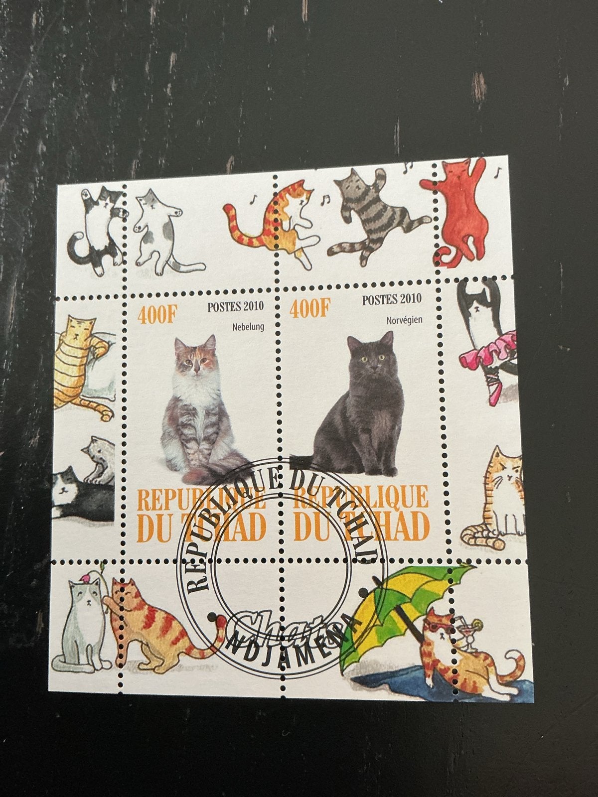 Postzegelvel Tsjaad 2010 Katten - Nebelung & Noorse Boskat, Ophalen of Verzenden