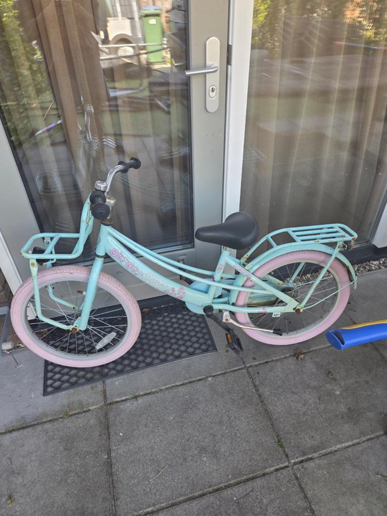 Opknap kinderfiets - ketting eraf en roest 20 inch, Ophalen, Gebruikt, 20 inch of meer