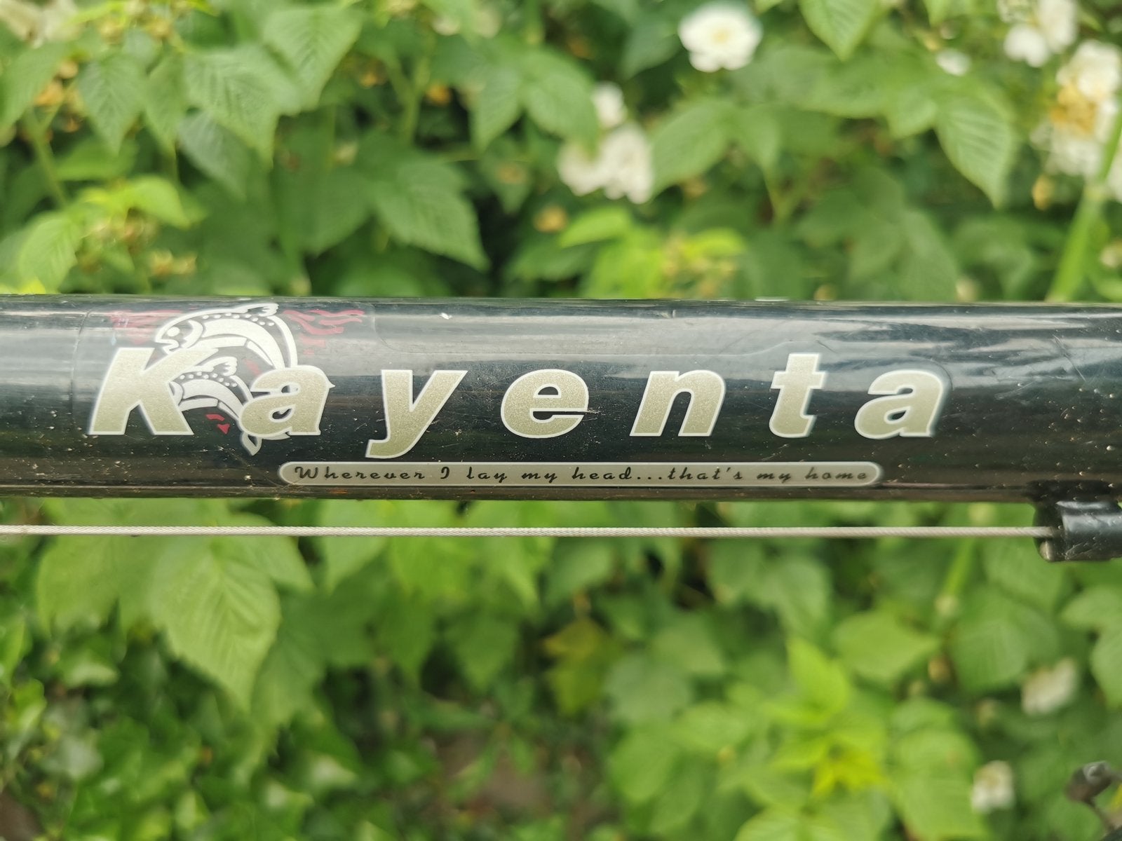 Batavus herenfiets (61 cm) en Gazelle dames fiets (56) en, Ophalen, Gebruikt, Versnellingen, Batavus