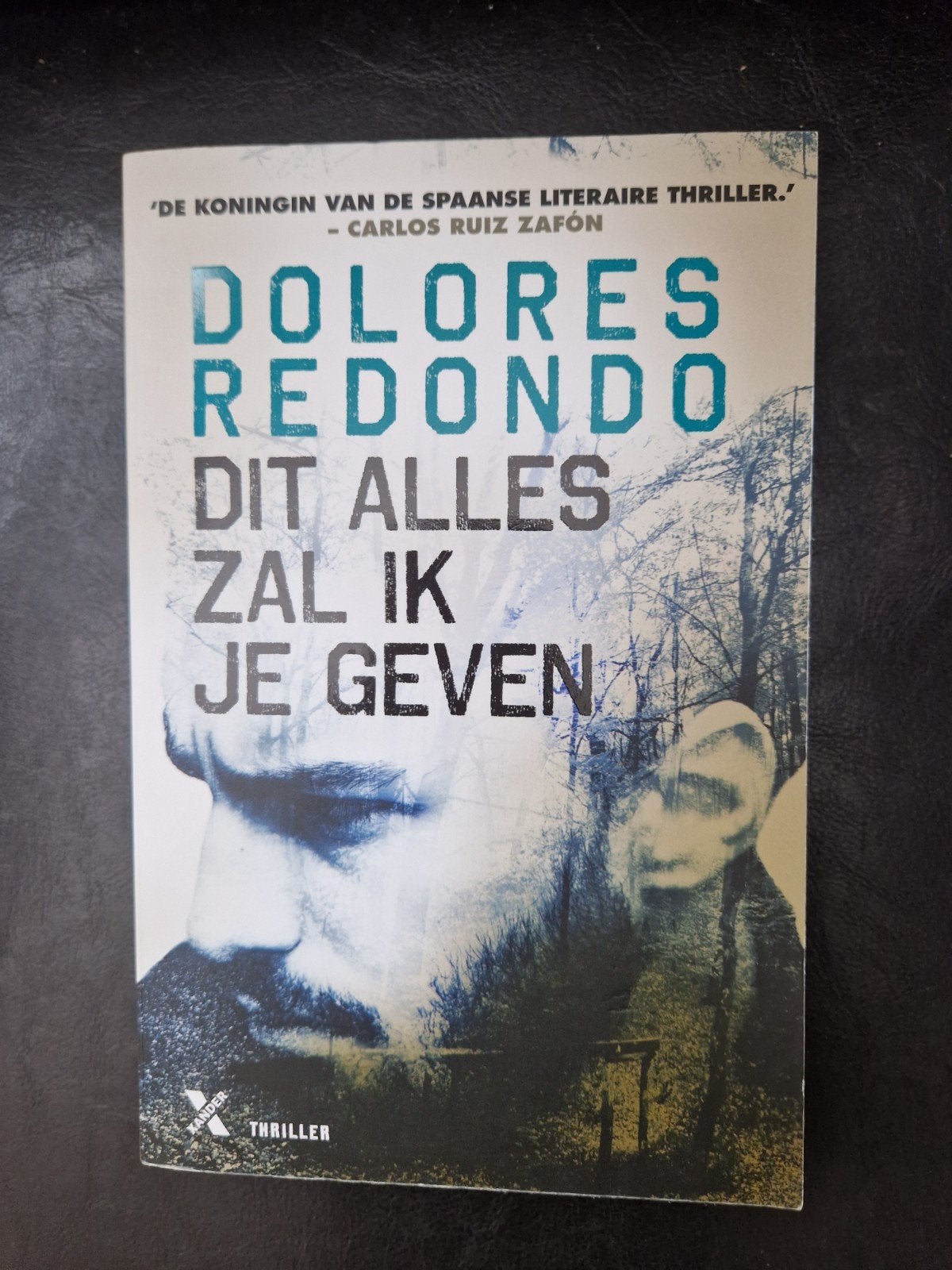 Dit Alles Zal Ik Je Geven - Dolores Redondo Thriller, Boeken, Ophalen of Verzenden, Gelezen, Dolores Redondo, Europa overig