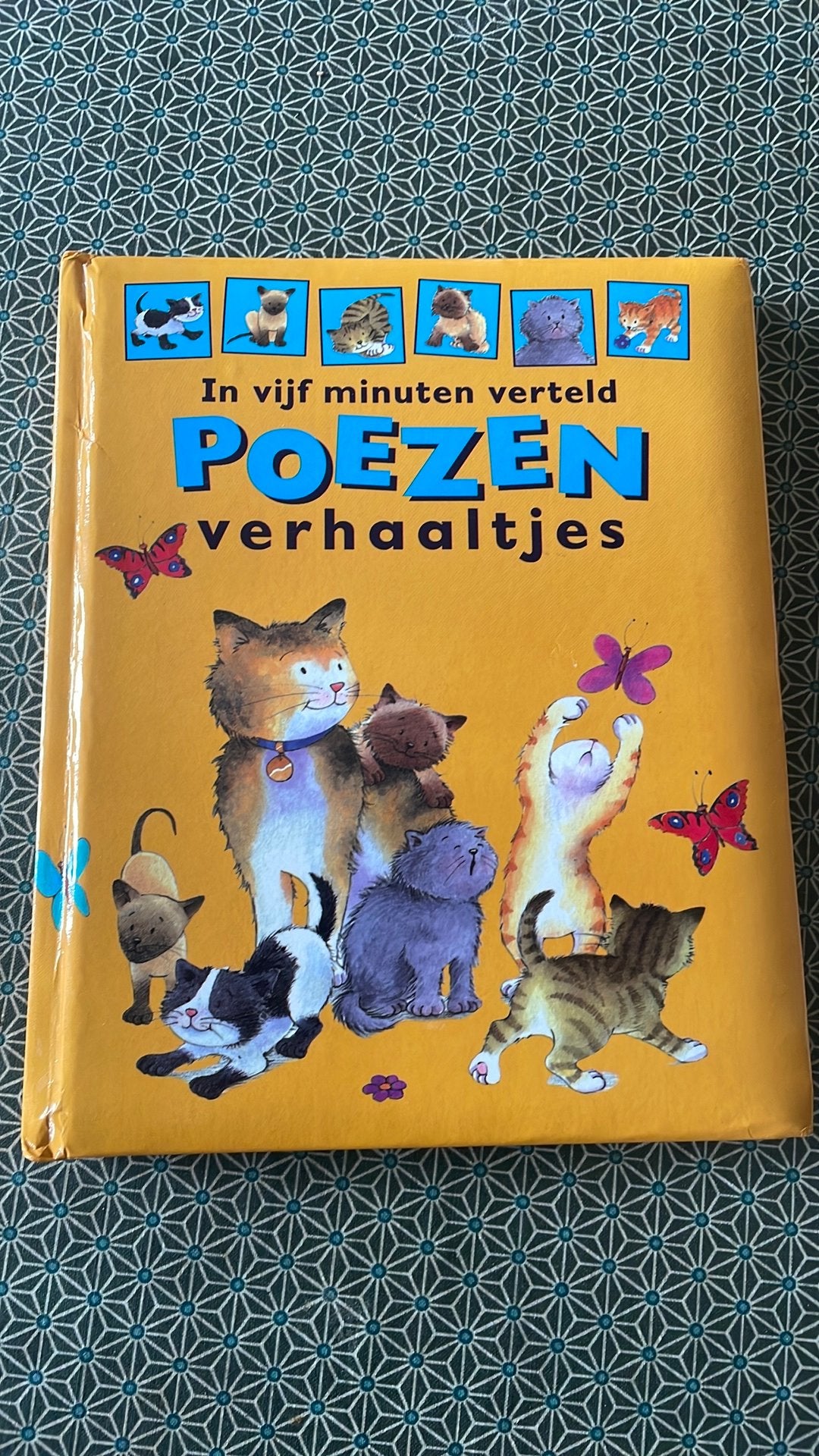 5 minuten poezen verhaaltjes, Ophalen of Verzenden, Gelezen, 2 tot 3 jaar