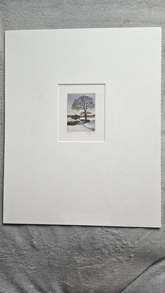 Etsen Willem Bijsterveld e.a., Antiek en Kunst, Kunst | Litho's en Zeefdrukken, Ophalen of Verzenden