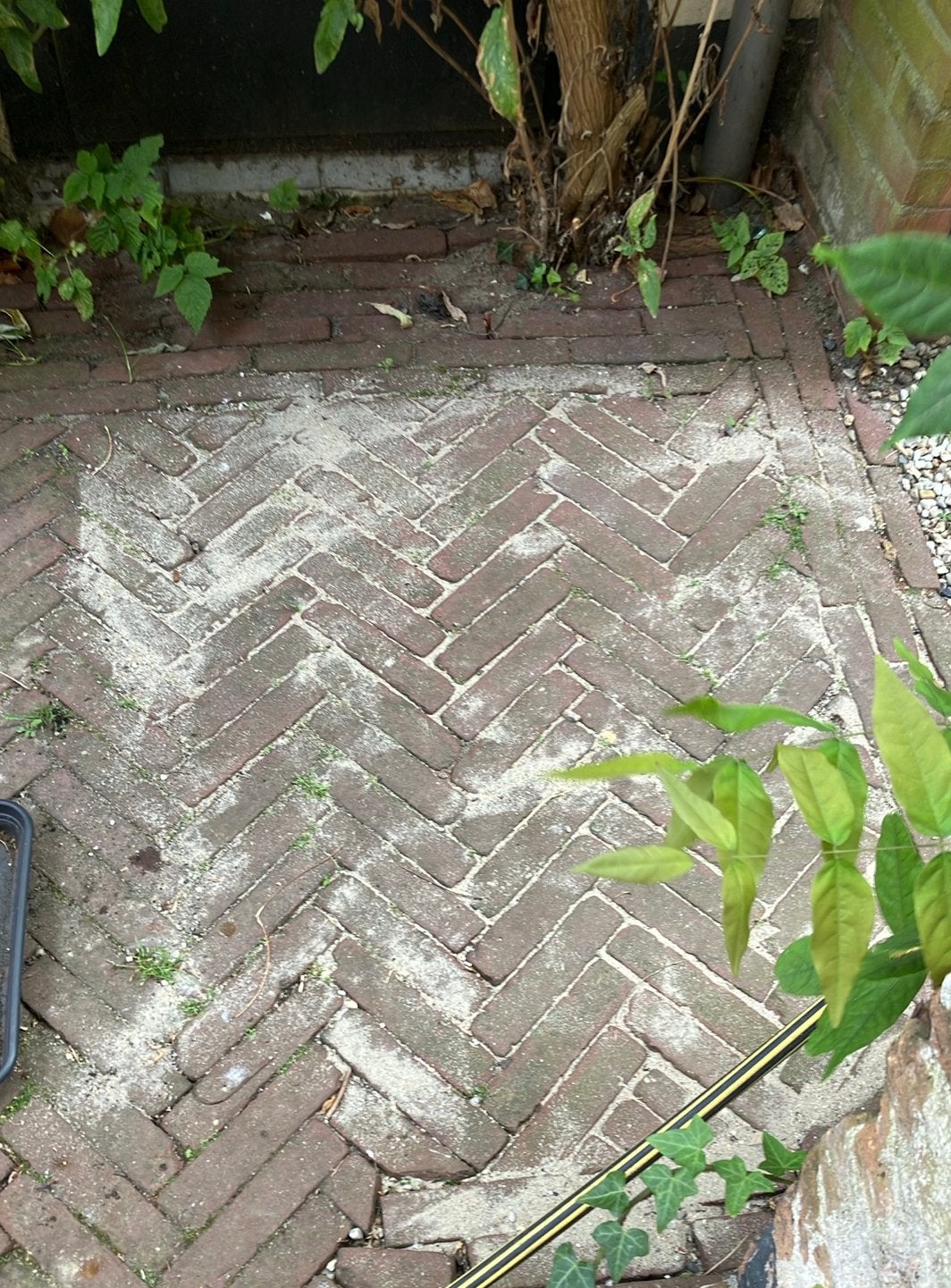 Gratis gebakken waalformaat klinkers, Ophalen, Zo goed als nieuw, Beton, Klinkers
