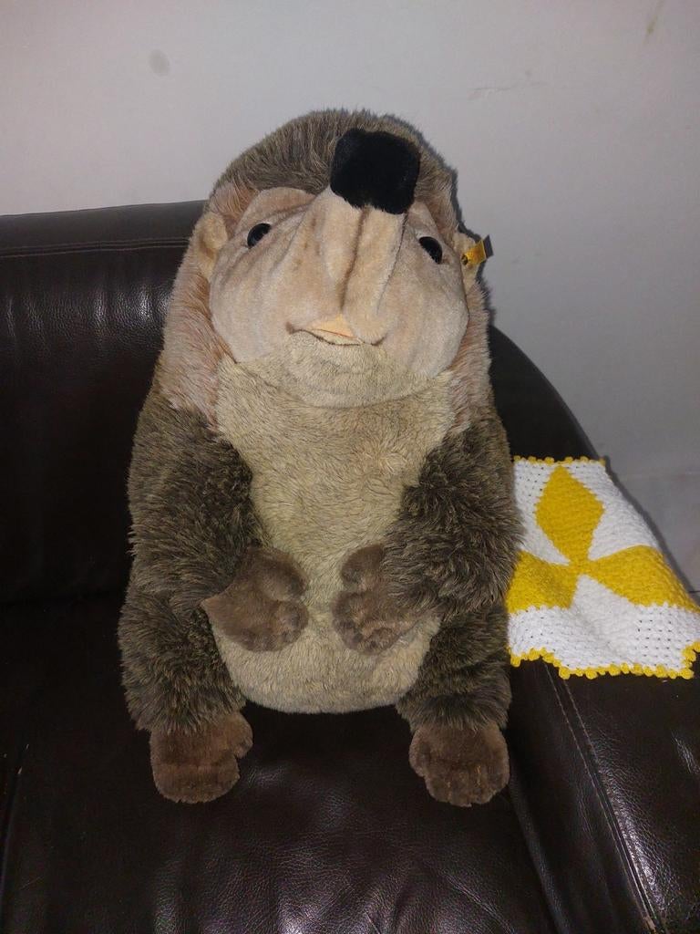Grote Steiff Egel Knuffel - in goede staat, Ophalen of Verzenden, Gebruikt, Overige typen
