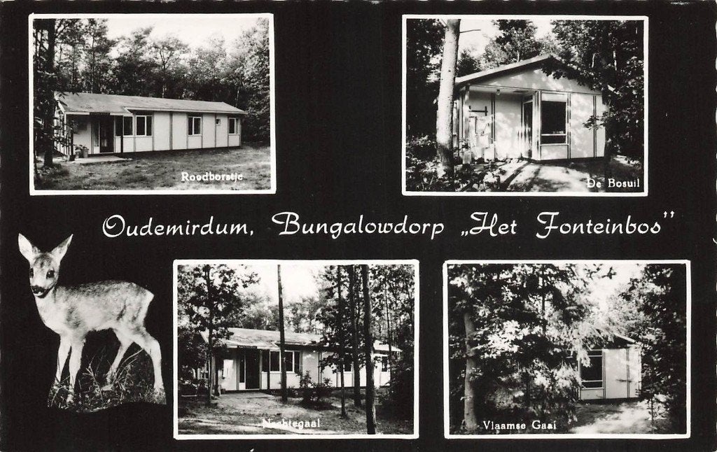 Oudemirdum, Bungalowdorp Het Fonteinbos, Ophalen of Verzenden, 1960 tot 1980, Gelopen, Friesland
