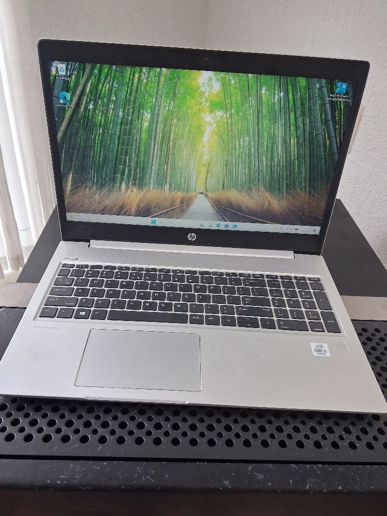 Hp  probook  450 G7, Computers en Software, Windows Laptops, Hp, Gebruikt, 2 tot 3 Ghz, Ophalen of Verzenden