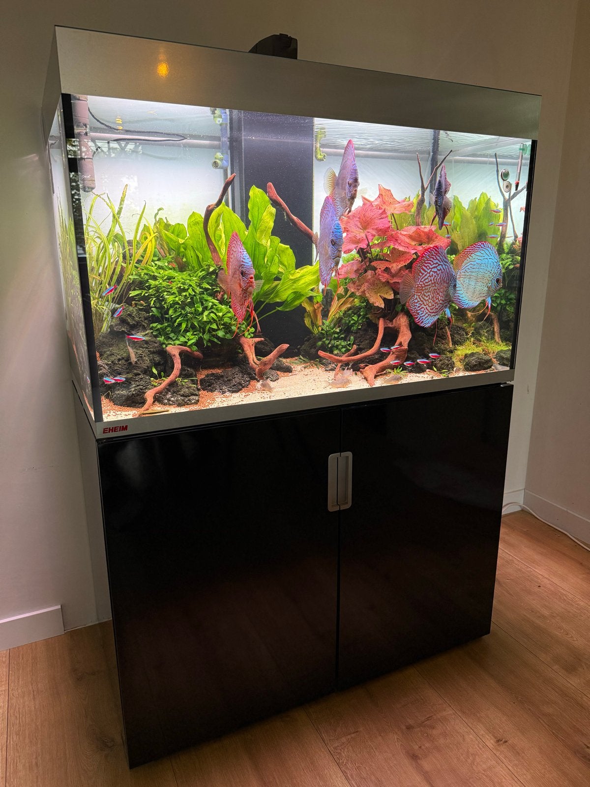 Eheim Incpiria 330 met verlichting, Ophalen, Gebruikt, Leeg aquarium, Eheim