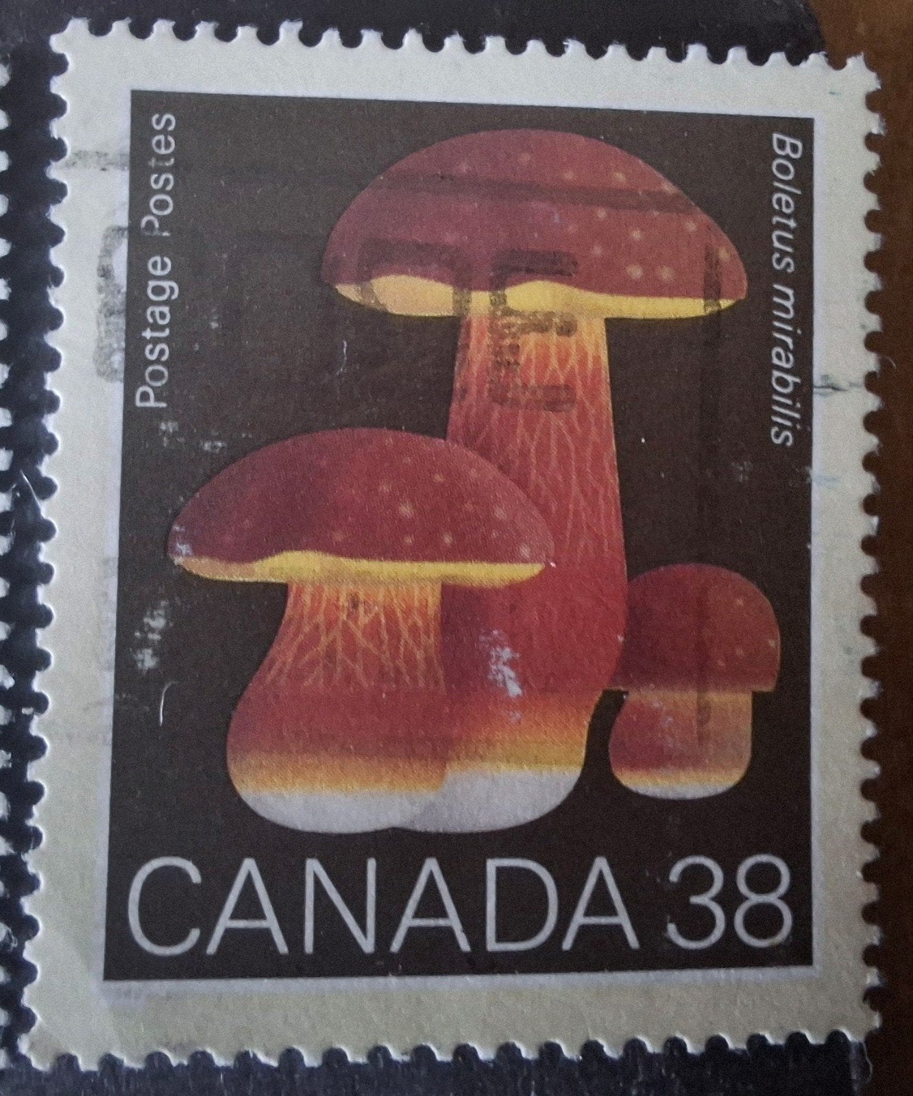 Canada 348 paddestoelen, Ophalen of Verzenden, Dier of Natuur