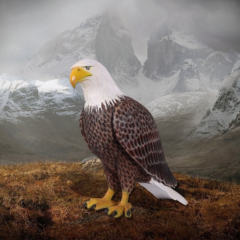 American Bald Eagle beeld – Adelaar, Ophalen, Nieuw, Overige typen