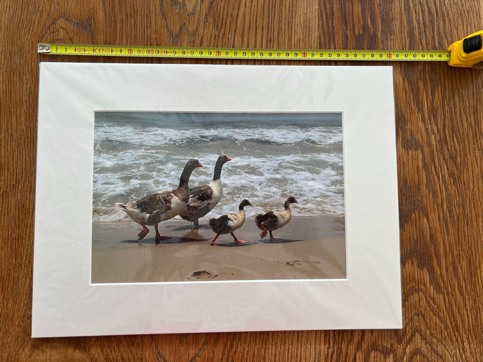Ganzenfamilie op het strand, Huis en Inrichting, Woonaccessoires | Schilderijen, Tekeningen en Foto's, Minder dan 50 cm, Nieuw