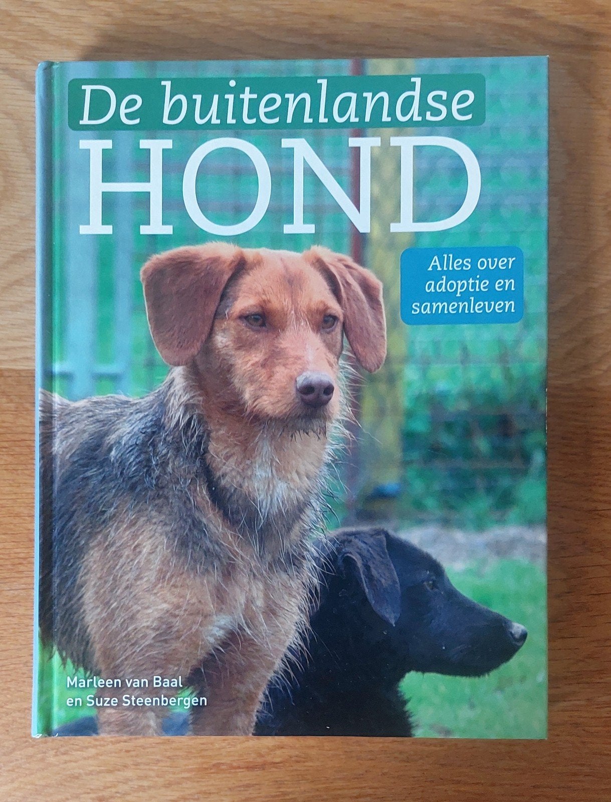 Marleen van Baal - De buitenlandse hond, Marleen van Baal; Suze Steenbergen, Honden, Ophalen of Verzenden, Zo goed als nieuw