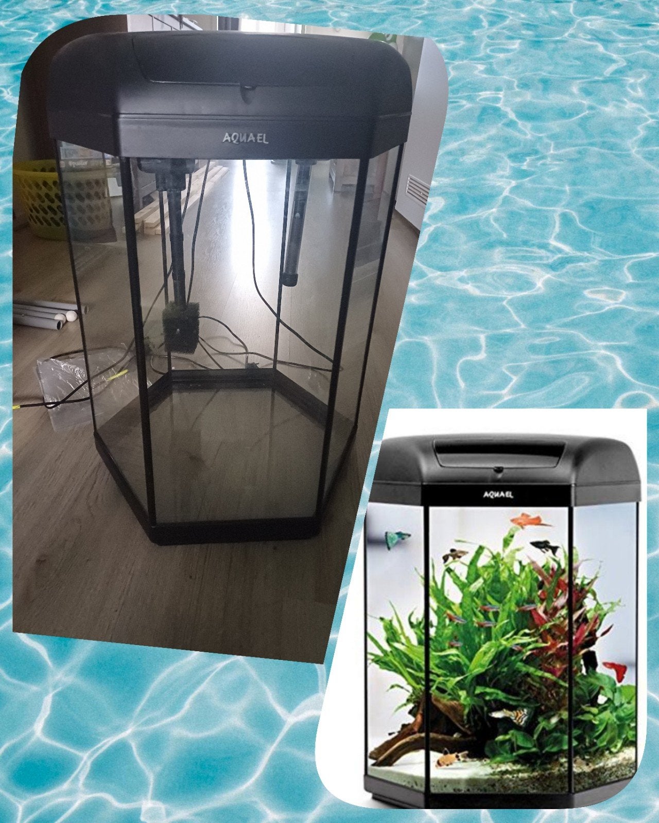 Aquael hexagon aquarium incl alle benodigdheden, Ophalen, Inclusief toebehoren, Aquael