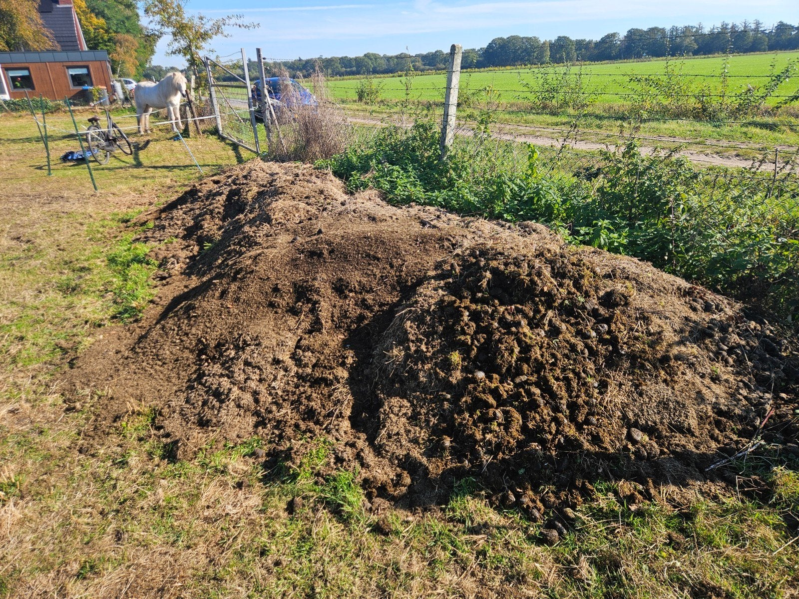Verse paardenmest zonder vlas of stro, met gras, Ophalen