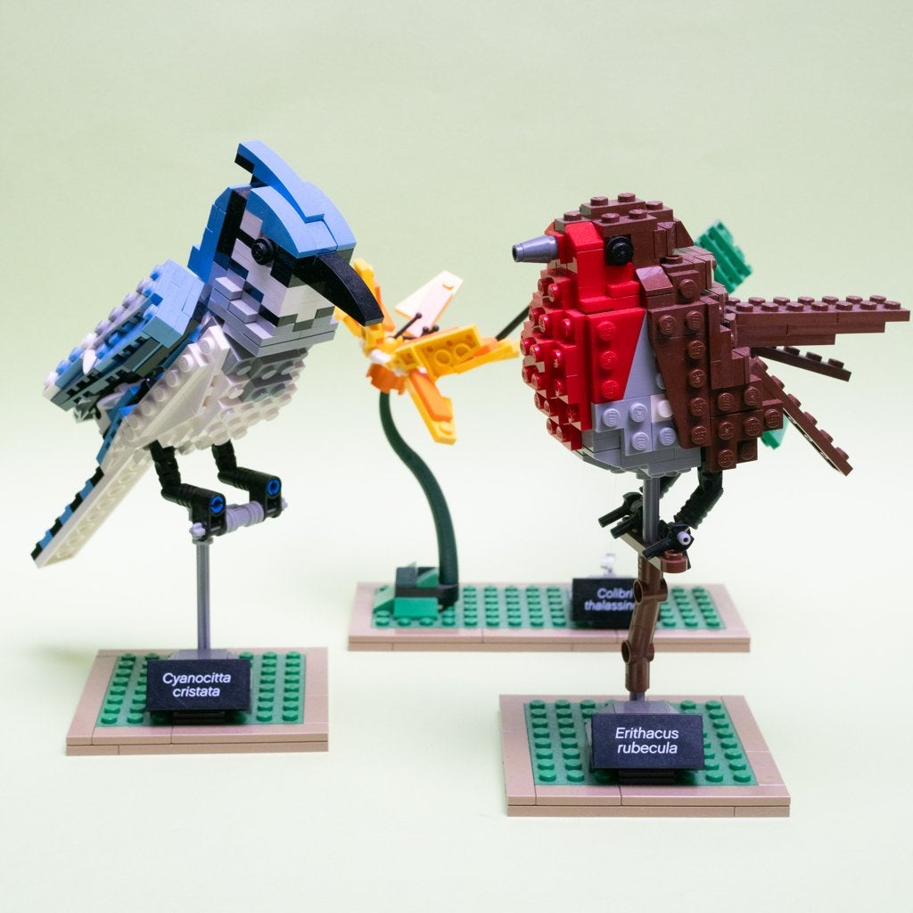 lego set birds 21301, Inclusief instructies, Verzenden, Lego, Complete set
