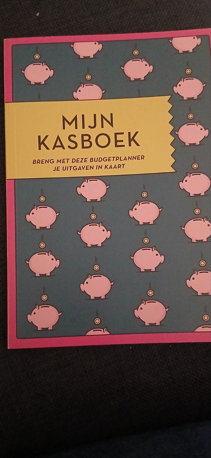 Budget planner - Mijn kasboek, Ophalen of Verzenden, Zo goed als nieuw, Witte Leeuw