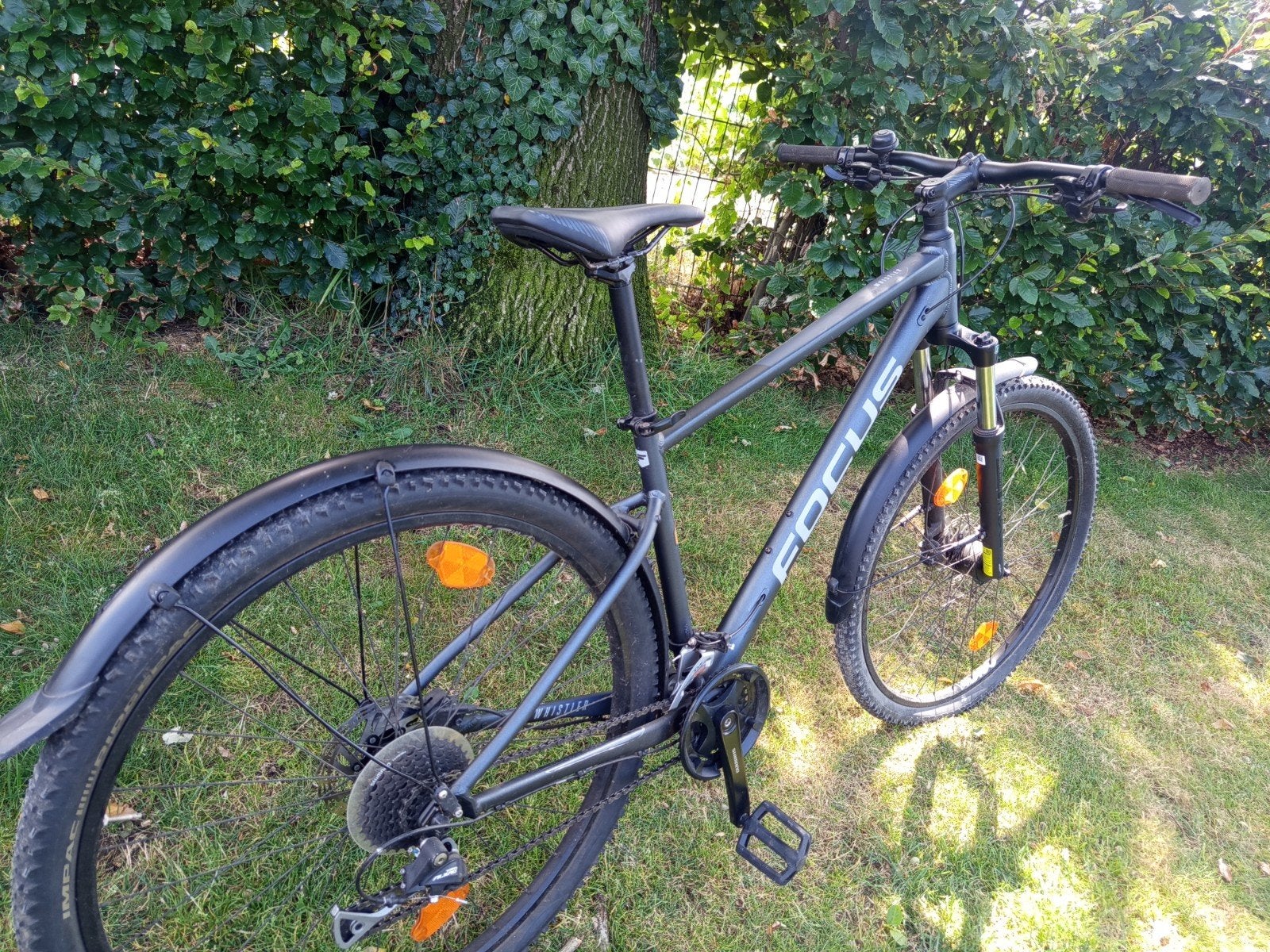 29" Focus Whistler, Hardtail, 49 tot 53 cm, Zo goed als nieuw, Schijfrem