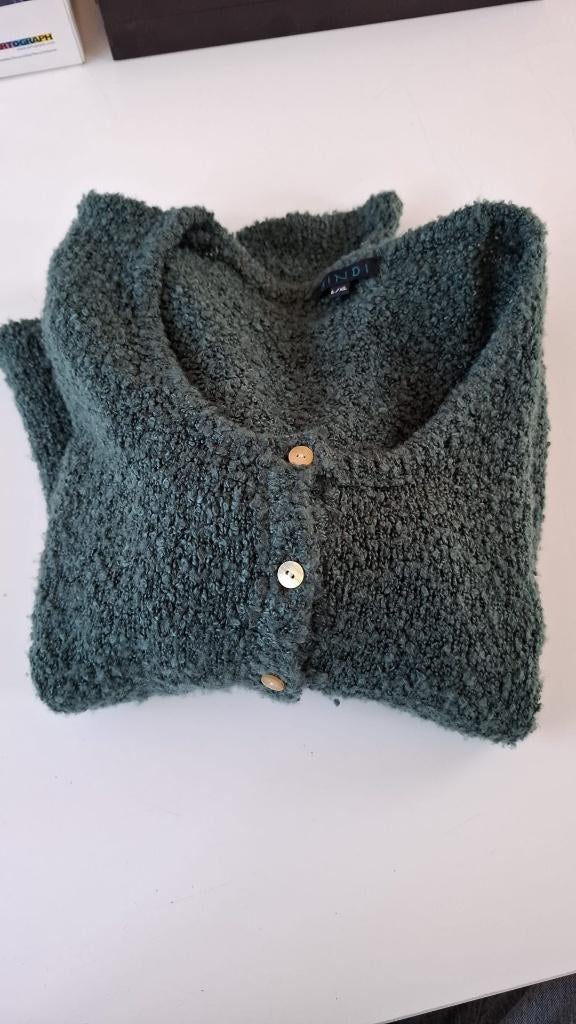 Bindi vestje dames petrol, Maat 42/44 (L), Ophalen of Verzenden, Zo goed als nieuw, Bindi