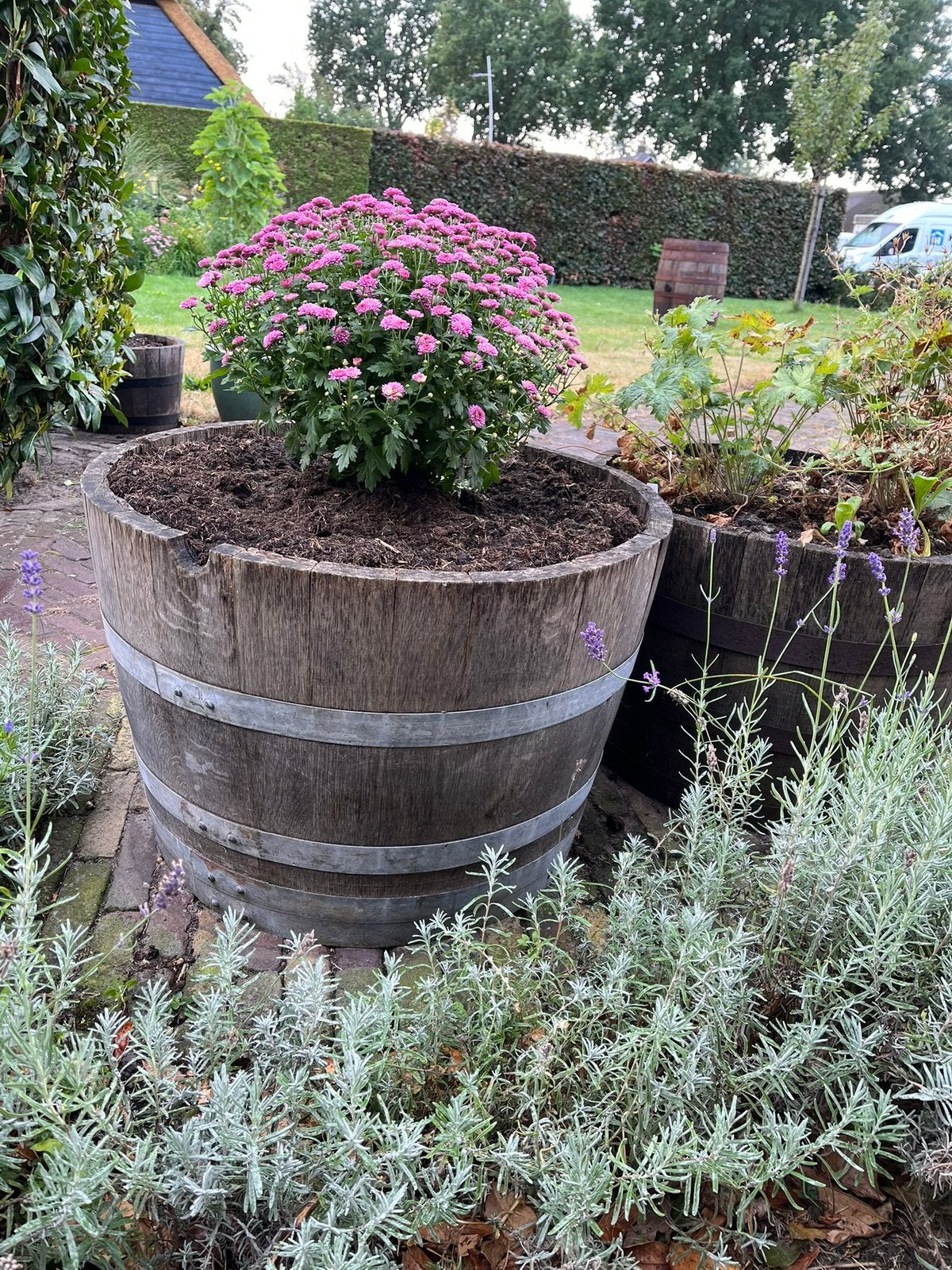 Eiken houten bloembak half wijnvat whiskyvat palmboom vijver, Gerard Krale, Rond, Nieuw, Ophalen of Verzenden