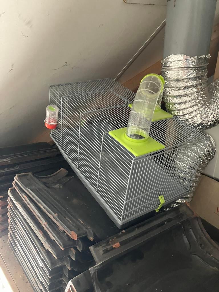 Hamsterkooi, Kooi, Minder dan 75 cm, Zo goed als nieuw, Ophalen