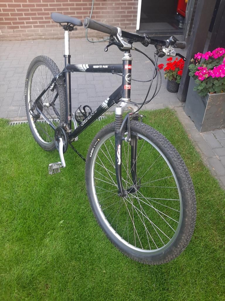 Giant regents spark 29 inch, Ophalen, Gebruikt, Giant