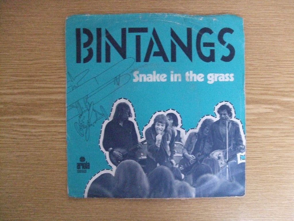BINTANGS     SNAKE IN THE GRASS / FLOATING, 7 inch, Ophalen of Verzenden, Zo goed als nieuw, Rock en Metal