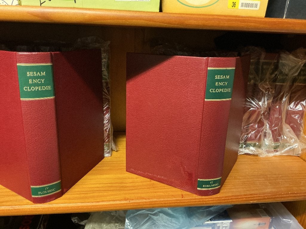 Sesam Encyclopedie, Boeken, Encyclopedieën, Complete serie, Ophalen of Verzenden, Zo goed als nieuw, Algemeen