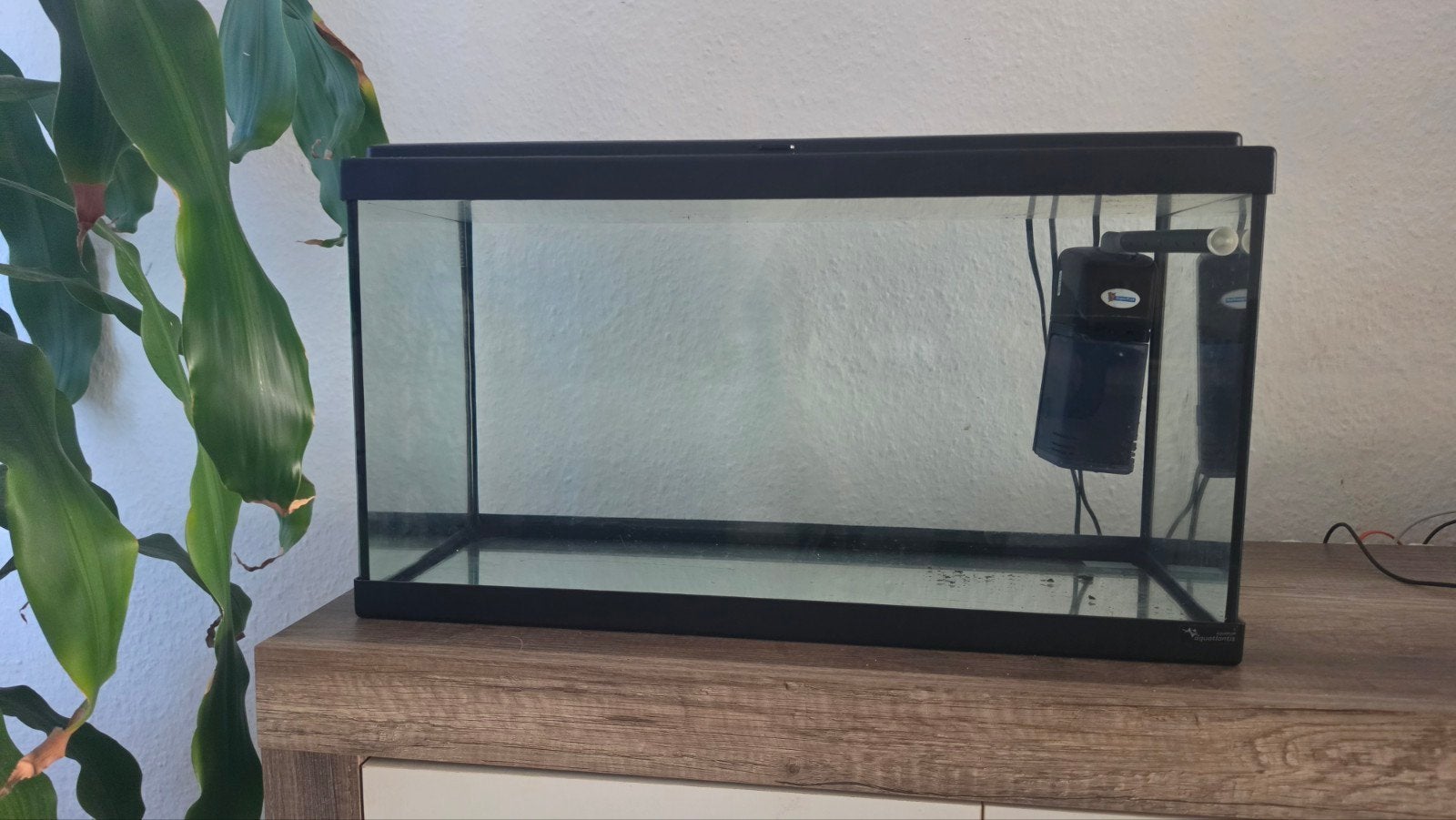 Aquarium 60x40x34 cm – Inclusief lamp en filter, Dieren en Toebehoren, Ophalen, Zo goed als nieuw, Leeg aquarium