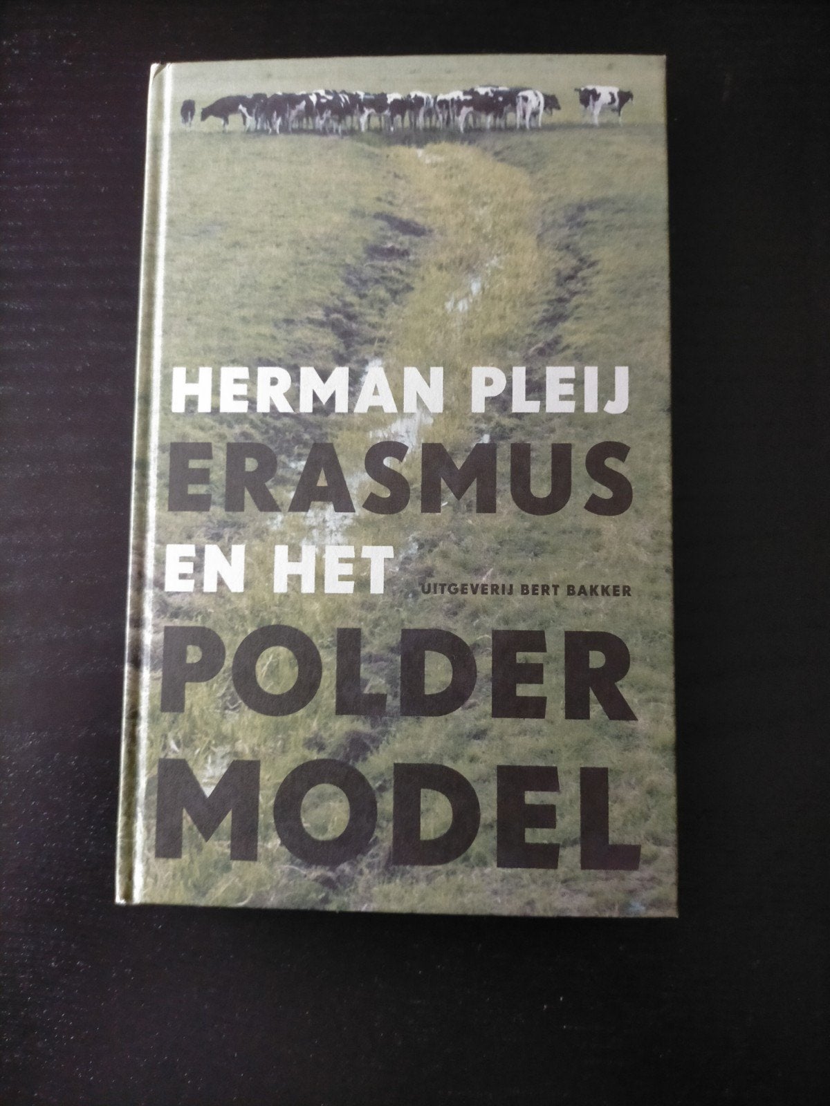 Herman Pleij - Erasmus en het Poldermodel (2005), Boeken, Ophalen of Verzenden, 20e eeuw of later, Zo goed als nieuw, Herman Pleij