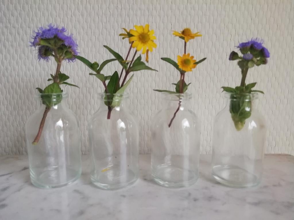Glazen flesjes - vaasjes, mini, Huis en Inrichting, Ophalen of Verzenden, Overige kleuren, Glas, Minder dan 50 cm