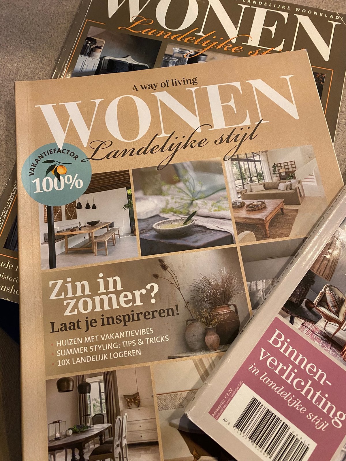 Wonennlandelijke style 15 x, Boeken, Ophalen, Zo goed als nieuw