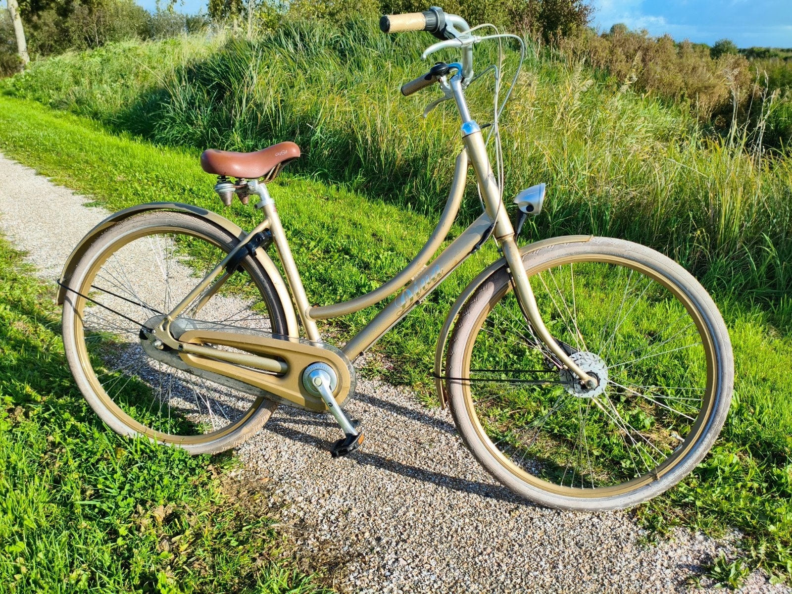 Batavus Diva, Ophalen, Versnellingen, Zo goed als nieuw, 50 tot 53 cm