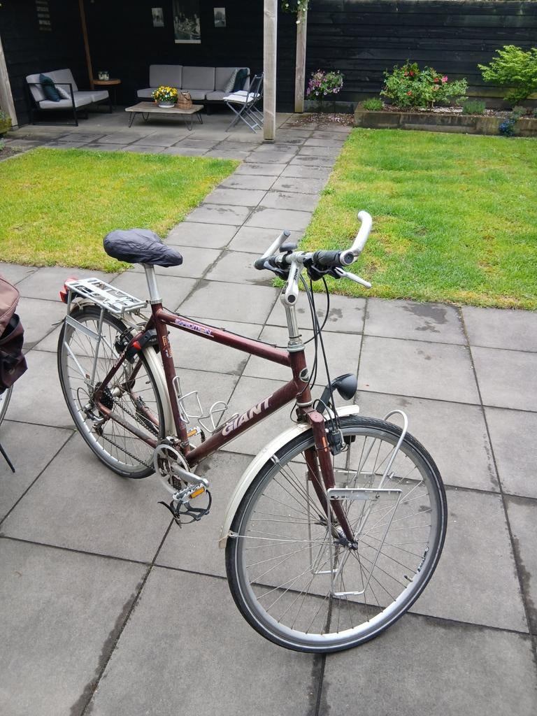 Giant Expedition Toerfiets - Herenfiets, Fietsen en Brommers, Fietsen | Heren | Herenfietsen, Ophalen, Gebruikt, Velgrem, Giant